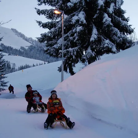 Claudia Apartmán Going am Wilden Kaiser